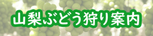 山梨ぶどうかり案内ロゴ